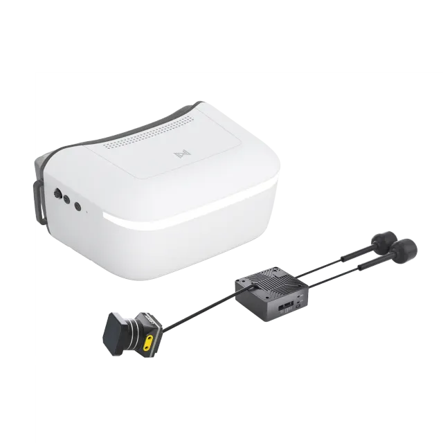 Walksnail Avatar Goggles L kit lunettes