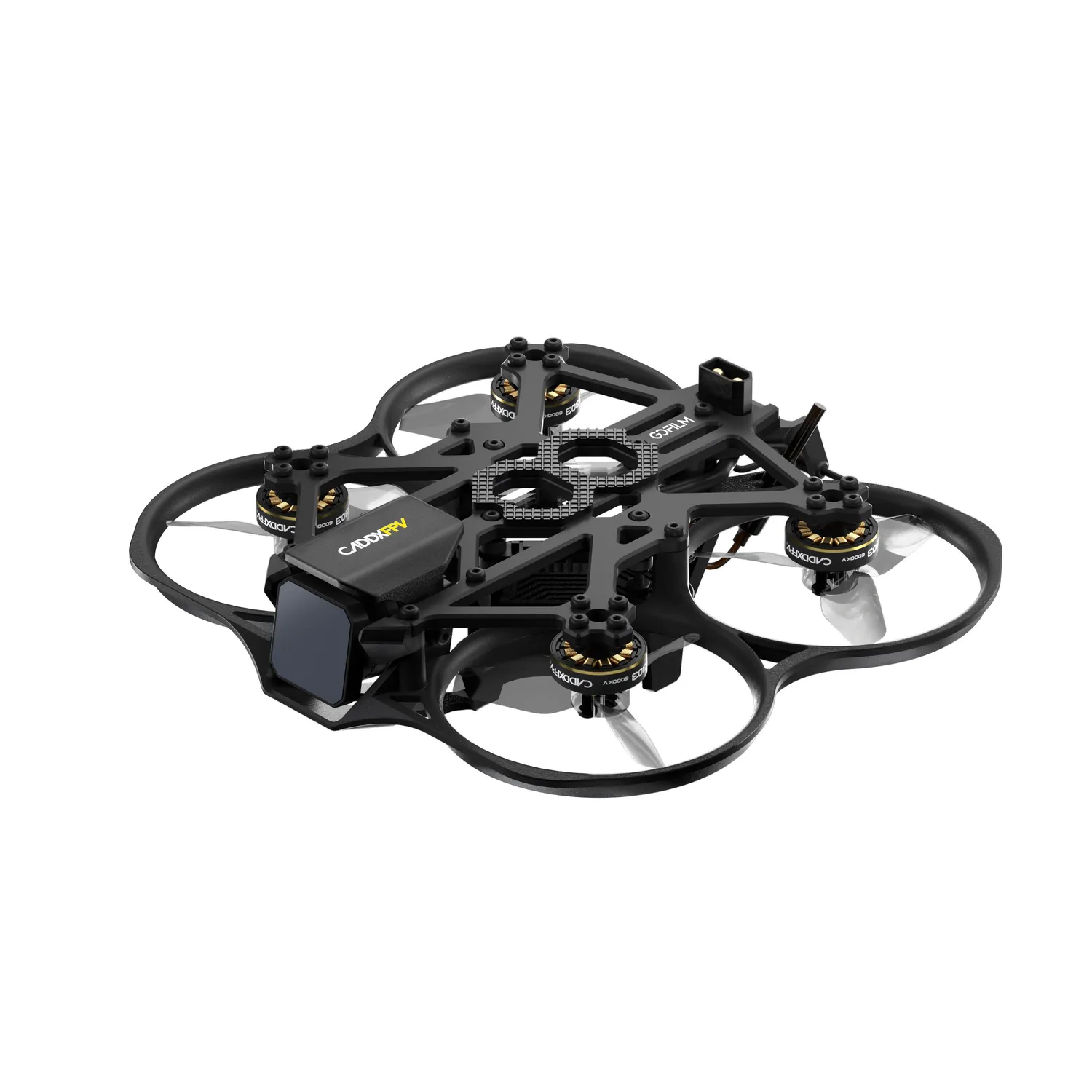 Walksnail Avatar HD Goggles X + Gofilm 20 lunettes FPV